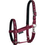 Waldhausen Licol pour Poulain Comfort
