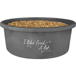 Waldhausen Ciotola XL per Muesli con Coperchio, 8 L - Grigio
