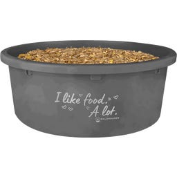Waldhausen XL Muesli Bowl with Lid, 8 L - Grey