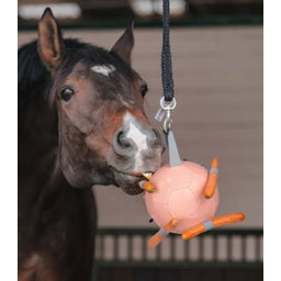Waldhausen Karottenball 18 cm - linnea rosa