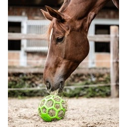 Waldhausen Heuball 22 cm - grün