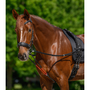 Waldhausen Longiergurt-Unterlage, schwarz - Pony