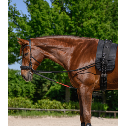 Waldhausen Longiergurt-Unterlage, schwarz - Pony