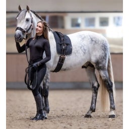 Waldhausen Longiergurt Rose/schwarz - Pony