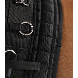 Waldhausen Longiergurt Supersoft/schwarz - Pony