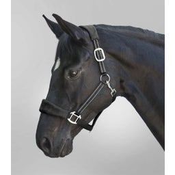 Waldhausen Halfter Alcantara, schwarz - Pony