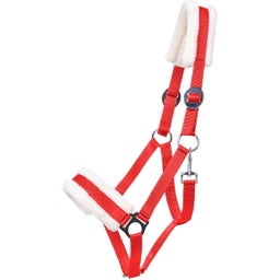 Brands of Q Licol Cali, Rouge Clair - 