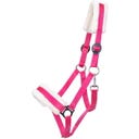 QHP Halfter Cali, fuchsia