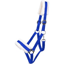 QHP Cavezza Cali, Blu Cobalto - Shetty