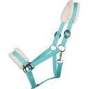 QHP Licol Cali, Turquoise - Poney
