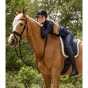 Waldhausen Reitpad Soft, nachtblau - Shetty