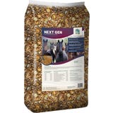 ALL-WIN Horse Next Gen