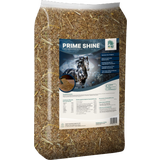 ALL-WIN Horse Prime Shine