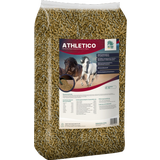 ALL-WIN Horse Athletico