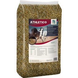 ALL-WIN Horse Athletico - 15 kg