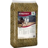 ALL-WIN Horse Athletico