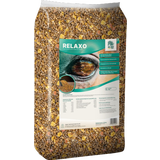 ALL-WIN Horse Relaxo