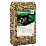 ALL-WIN Horse Performer Z