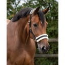 QHP Halfter Cali, schwarz - Shetty