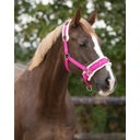 QHP Kappzaum, fuchsia - Shetty