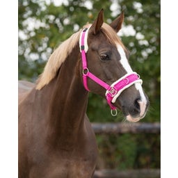 QHP Kappzaum, fuchsia - Shetty
