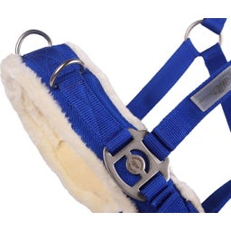 QHP Kappzaum, kobaltblau - Shetty