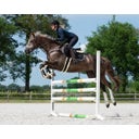 Sattelunterlage Memory-Schaum Ontario, dunkelbraun - Pony