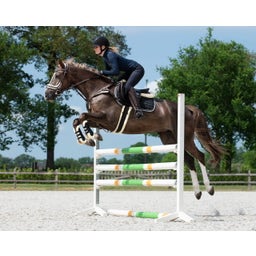 Sattelunterlage Memory-Schaum Ontario, dunkelbraun - Pony