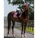 QHP Gamaschen, flamingo-pink - Shetty