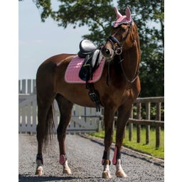 QHP Gamaschen, flamingo-pink - Shetty
