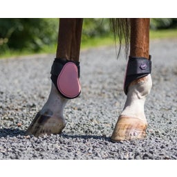 QHP Streichkappen, flamingo-pink - Shetty