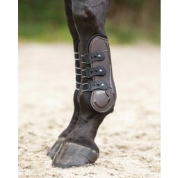 QHP Gamaschen Champion, braun - Pony