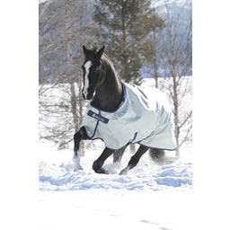 Bucas Power Turnout Medium silber, 150g - 115 cm