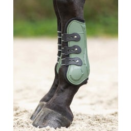 QHP Gamaschen Champion, olivgrün - Pony