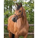 QHP Knotenhalfter Basic navy