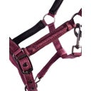 QHP Fohlenhalfter Lily bordeaux