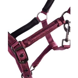 QHP Fohlenhalfter Lily bordeaux