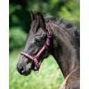 QHP Fohlenhalfter Lily bordeaux