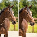 QHP Fotografie-Halfter - Beige