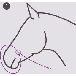 Brands of Q Fotografi-Grimma - Beige