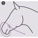 PresTeq Fotografi-Grimma - Beige