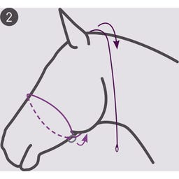 QHP Cavezza da Fotografia - Beige