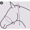 QHP Fotografie-Halfter - Beige