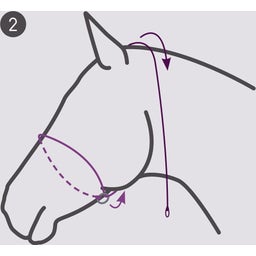 Brands of Q Fotografie Halster - Beige