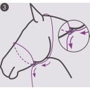 QHP Fotografie-Halfter - Beige