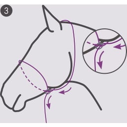 QHP Cabezada de Fotografía - Beige