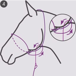 QHP Fotografie-Halfter - Beige