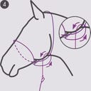 QHP Photography kötőfék - Bézs