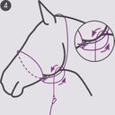 QHP Photography kötőfék - Bézs