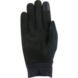 Roeckl Handschuhe WOLFACH silver reflect - 6.5